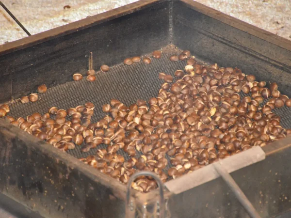 sagra-castagna-munnaredda-tramutola-19