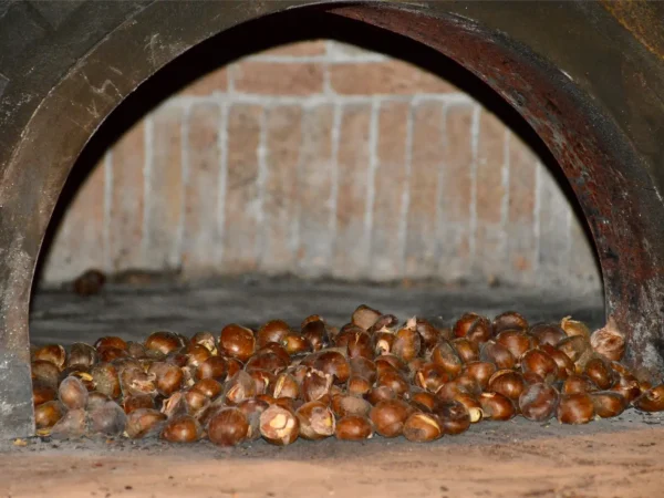 sagra-castagna-munnaredda-tramutola-30